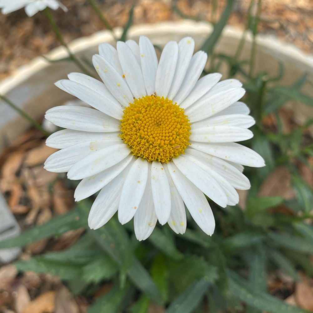 Meet your Posher, Becca